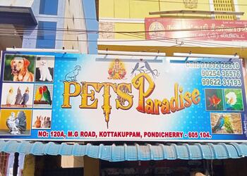 Pets-paradise-Pet-stores-Pondicherry-Puducherry-1