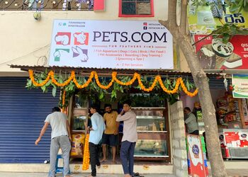 Petscom-Pet-stores-Rajahmundry-rajamahendravaram-Andhra-pradesh-1