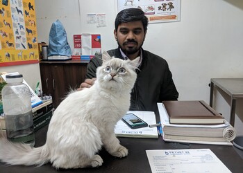 Petvet24-veterinary-clinic-Veterinary-hospitals-Chandigarh-Chandigarh-2