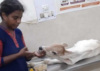 Petvet24-veterinary-clinic-Veterinary-hospitals-Chandigarh-Chandigarh-3