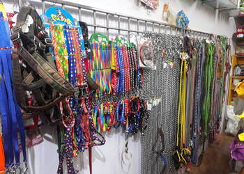 Petz-era-Pet-stores-Napier-town-jabalpur-Madhya-pradesh-3