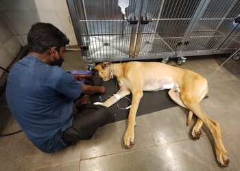 Petzone-veterinary-clinics-Veterinary-hospitals-Goa-Goa-3
