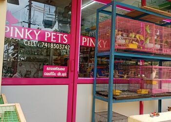 Pinky-pets-Pet-stores-Erode-Tamil-nadu-1