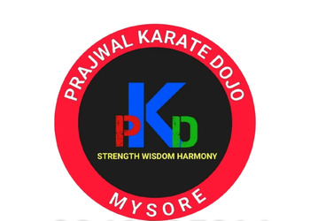 Pkd-martial-arts-Martial-arts-school-Mysore-Karnataka-1