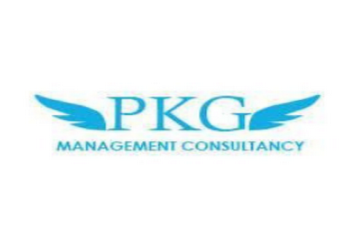 Pkg-consultancy-Tax-consultant-Greater-kailash-delhi-Delhi-1