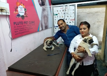 Pluto-pet-clinics-Veterinary-hospitals-Ranchi-Jharkhand-2