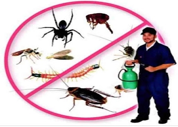 Pooja-pest-control-services-Pest-control-services-Sector-56-faridabad-Haryana-2