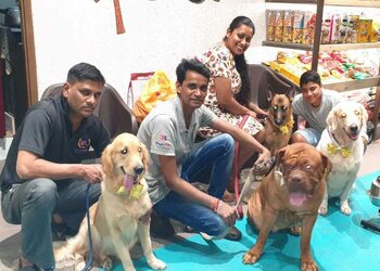 Posh-pets-Pet-stores-Khar-mumbai-Maharashtra-3