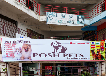 Posh-pets-Pet-stores-Kurnool-Andhra-pradesh-1