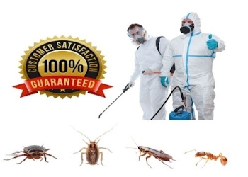 Pps-pest-control-and-sanitization-services-Pest-control-services-Railway-colony-bikaner-Rajasthan-1