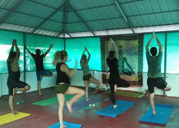 Praana-yoga-studio-Yoga-classes-Kochi-Kerala-2