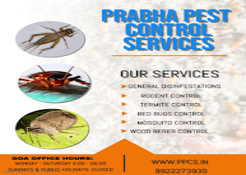 Prabha-pest-control-services-Pest-control-services-Goa-Goa-1