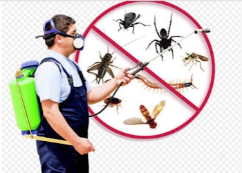 Prachin-pest-control-Pest-control-services-Rajarhat-kolkata-West-bengal-2