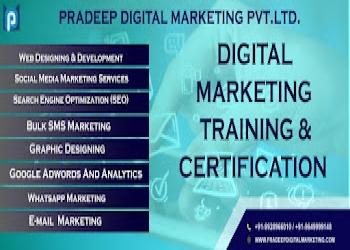 Pradeep-digital-marketing-private-limited-Digital-marketing-agency-Kota-Rajasthan-2