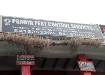 Pragya-pest-control-services-Pest-control-services-Naini-allahabad-prayagraj-Uttar-pradesh-1