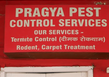 Pragya-pest-control-services-Pest-control-services-Naini-allahabad-prayagraj-Uttar-pradesh-3