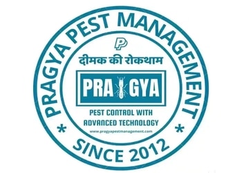 Pragya-pest-management-Pest-control-services-Civil-lines-agra-Uttar-pradesh-1