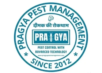 Pragya-pest-management-Pest-control-services-Kamla-nagar-agra-Uttar-pradesh-1