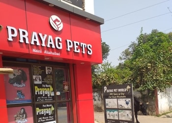 Prayag-pet-world-Pet-stores-Allahabad-prayagraj-Uttar-pradesh-1
