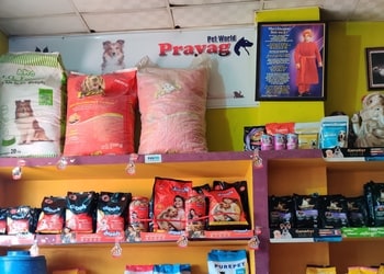 Prayag-pet-world-Pet-stores-Allahabad-prayagraj-Uttar-pradesh-3