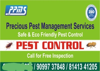 Precious-pest-management-services-Pest-control-services-Adajan-surat-Gujarat-1