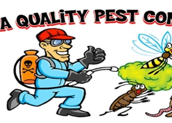 Premier-pest-solution-Pest-control-services-Ambattur-chennai-Tamil-nadu-1