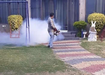 Prime-pest-control-services-durg-Pest-control-services-Dhamtari-Chhattisgarh-1