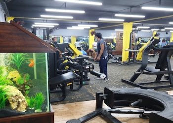 Pro-fitness-unisex-gym-Gym-Kakadeo-kanpur-Uttar-pradesh-1