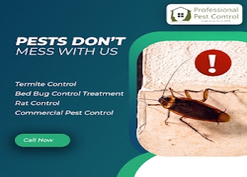 Professional-pest-control-services-Pest-control-services-Saibaba-colony-coimbatore-Tamil-nadu-1