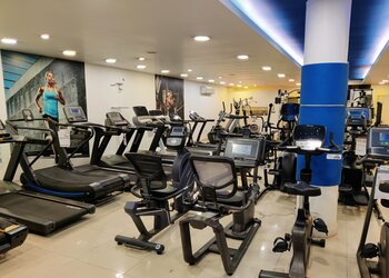 Proline-fitness-Gym-equipment-stores-Chandigarh-Chandigarh-2