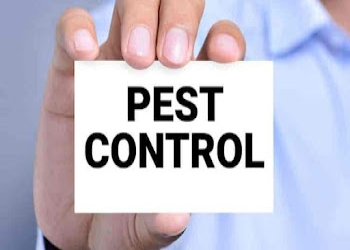 Protech-pest-control-services-Pest-control-services-Mysore-Karnataka-2