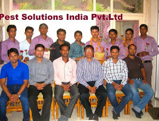 Psi-pest-solutions-india-pvt-ltd-Pest-control-services-Tt-nagar-bhopal-Madhya-pradesh-2