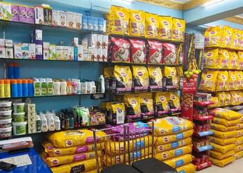 Puppy-world-Pet-stores-Bhagalpur-Bihar-2