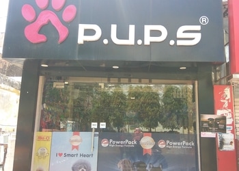 Pups-pet-care-store-Pet-stores-Lucknow-Uttar-pradesh-1