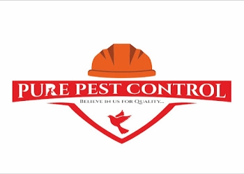 Pure-pest-control-Pest-control-services-Guru-teg-bahadur-nagar-jalandhar-Punjab-1