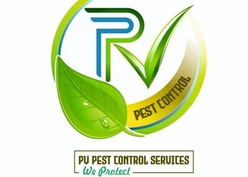 Pv-pest-control-services-Pest-control-services-Rajapeth-amravati-Maharashtra-1