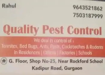 Quality-pest-control-Pest-control-services-Cyber-city-gurugram-Haryana-1