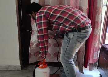 Quality-pest-control-Pest-control-services-Sector-15-gurugram-Haryana-3