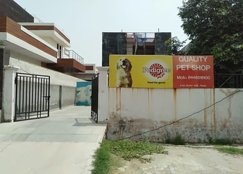 Quality-pet-shop-Pet-stores-Noida-Uttar-pradesh-1