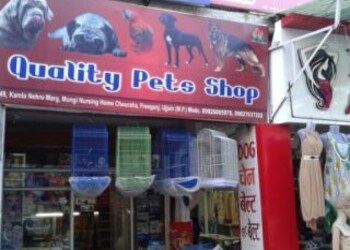 Quality-pets-shop-Pet-stores-Ujjain-Madhya-pradesh-1