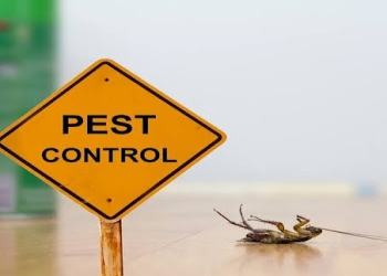 Quantum-pest-control-Pest-control-services-Chinhat-lucknow-Uttar-pradesh-1