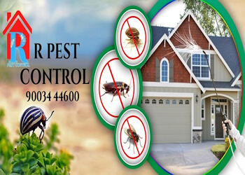 R-pest-control-Pest-control-services-Anna-nagar-kumbakonam-Tamil-nadu-1