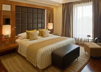 Radisson-blu-plaza-5-star-hotels-New-delhi-Delhi-2