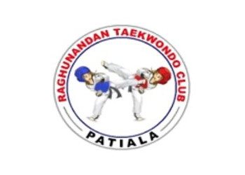 Raghunandan-taekwondo-club-Martial-arts-school-Patiala-Punjab-1