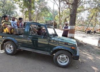 Rahul-travels-Cab-services-Amanaka-raipur-Chhattisgarh-2