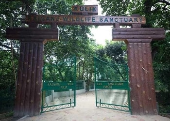 Raiganj-bird-sanctuary-Public-parks-Raiganj-West-bengal-1