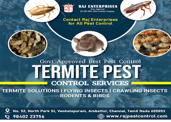 Raj-enterprises-Pest-control-services-Ambattur-chennai-Tamil-nadu-1
