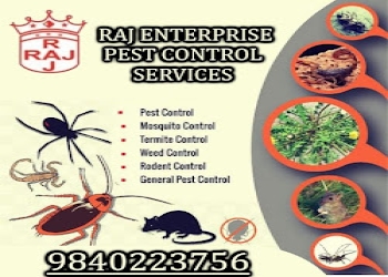 Raj-enterprises-Pest-control-services-Ambattur-chennai-Tamil-nadu-2