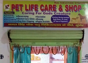 Raj-pet-home-Pet-stores-Munger-Bihar-1