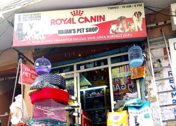 Rajan-pet-shop-Pet-stores-Bareilly-Uttar-pradesh-1